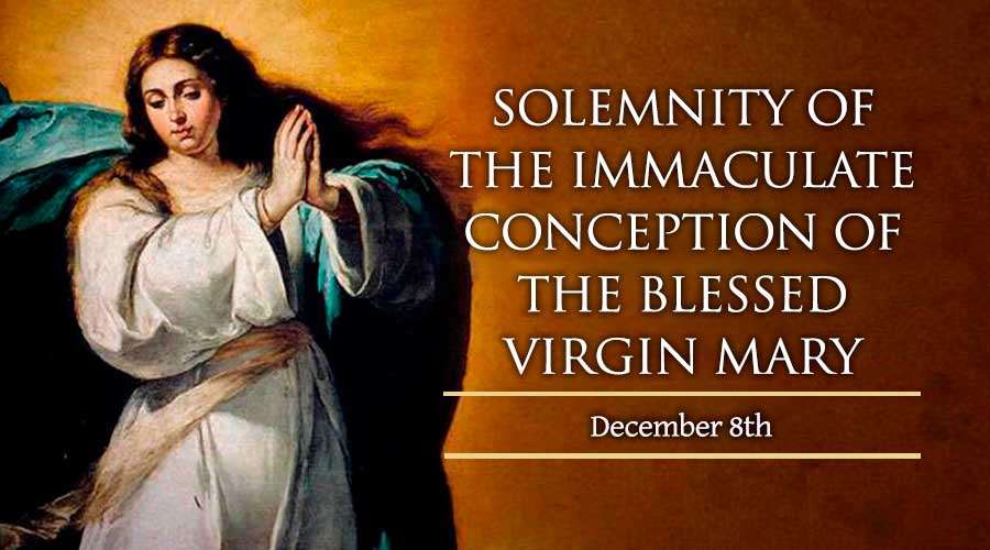 Solemnity of the immaculate outlet conception