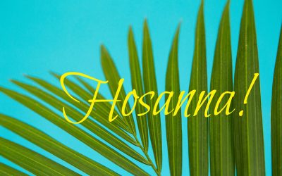 Palm Sunday Reflection